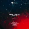Orion Concept - Satellite